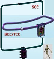 The ITER correction coils: an arrangement of six 7x8 metre side coils and twelve 3x7 metre top/bottom coils (compare to the man-sized figure at bottom right). (Click to view larger version...)