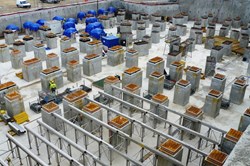A standing army of seismic pads awaits the hypothetical ''maximum historically plausible'' earthquake. (Click to view larger version...)