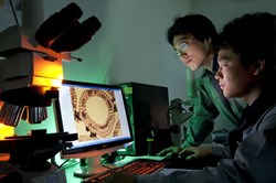Researchers investigating the micro-structure of a cross-section of Nb3Sn superconducting strand after heat treatment.(ITER Korea, © Peter Ginter) (Click to view larger version...)