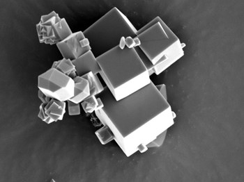 A sieve for molecules: The crystals of the metal-organic compound can be seen at a magnification of more than X6000 under the scanning electron microscope. © MPI for Intelligent Systems (Click to view larger version...)