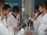 Youngsters participating in the "CEA-Jeunes" program are given an opportunity to discover how science activities reflect society's needs and preoccupations and ... how exciting they can be. 