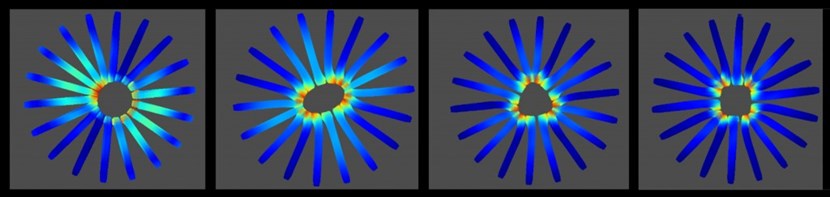 Structural simulations of ITER's toroidal field coil set viewed from above, illustrating various shapes formed following coil energization when the straight sections of each D-shaped coil butt together to form a structural vault. (The displacements are magnified 50 times for illustrative purposes.) Non-axisymmetric assembly gaps left between adjacent coils result in the formation of non-axisymmetric vaults. Here the gaps have been specified as single waves with (from left to right) one, two, three, and four repetitions. These gap waveforms produce an offset circle, an ellipse, a triangle and a square. (Click to view larger version...)