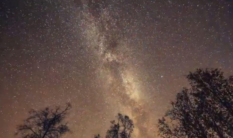 ITER - Ecology ITER - Ecology