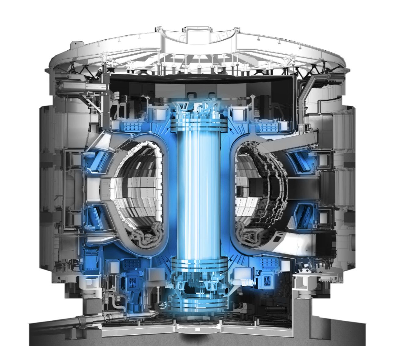 Cross-sectional illustration of the core of the ITER tokamak, with the ITER superconducting magnets highlighted in light blue.