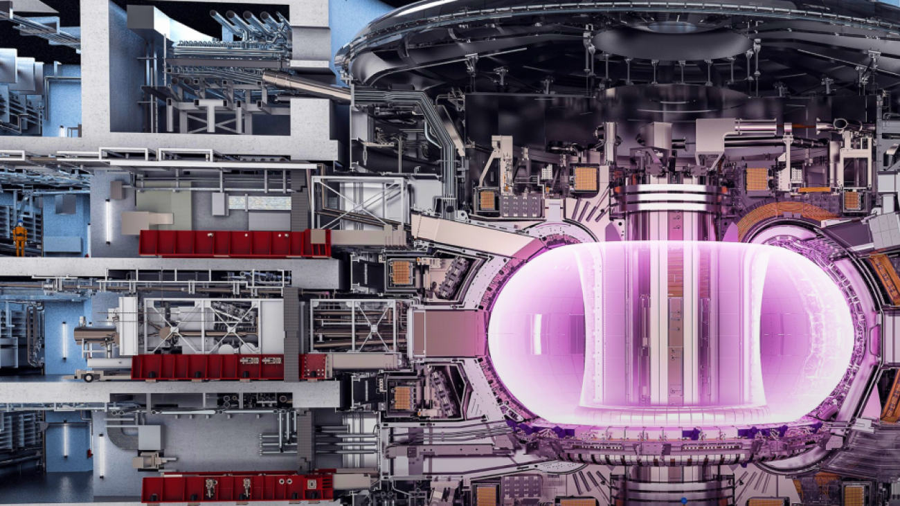 What is a tokamak fusion reactor? This is a detailed illustration of the cross-section of the entire ITER tokamak.