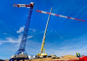 Dismantling_crane_OK_2a.jpg