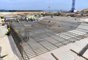 Ass_Hall_Rebar_3.jpg