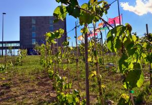 Chateau_ITER_5.jpg