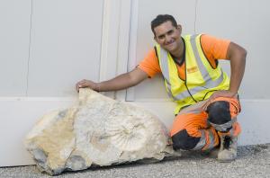 Ammonite_Chantier_NEF_1a_small.jpg