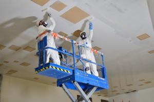 Paint_job_B2-3_small.jpg