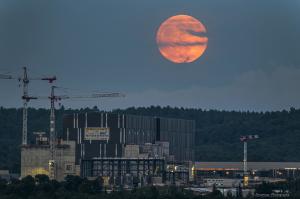Strawberry_Moon_Dontao_ed_small.jpg