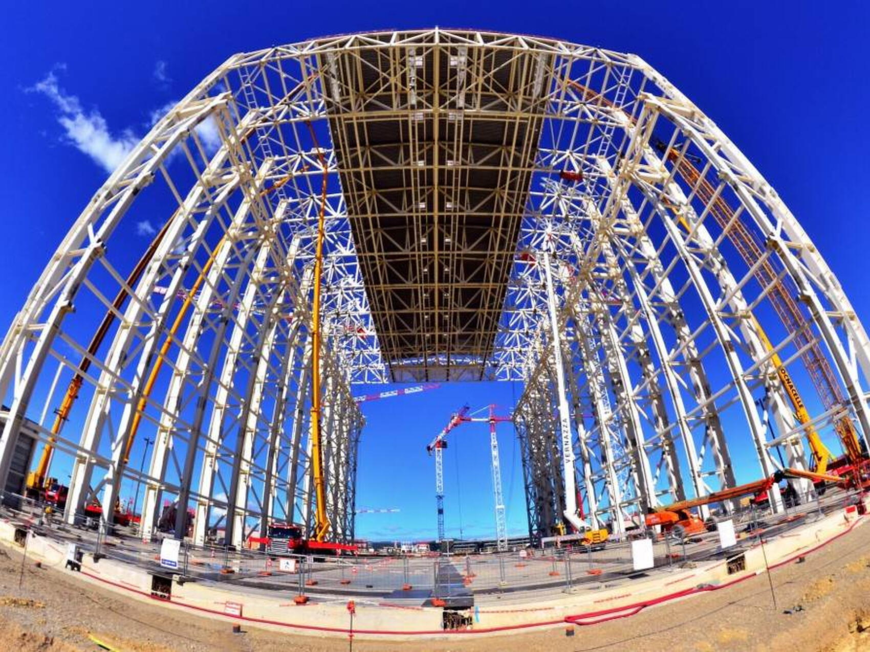 Une araignée géante ?