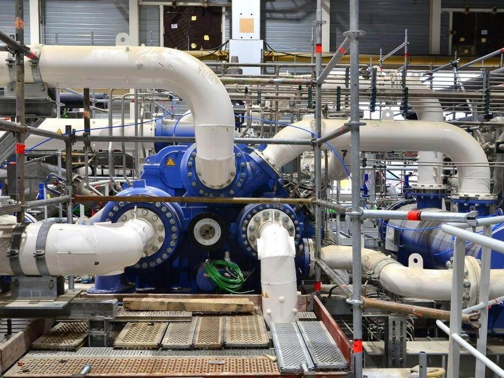 Insecte ? Créature ?