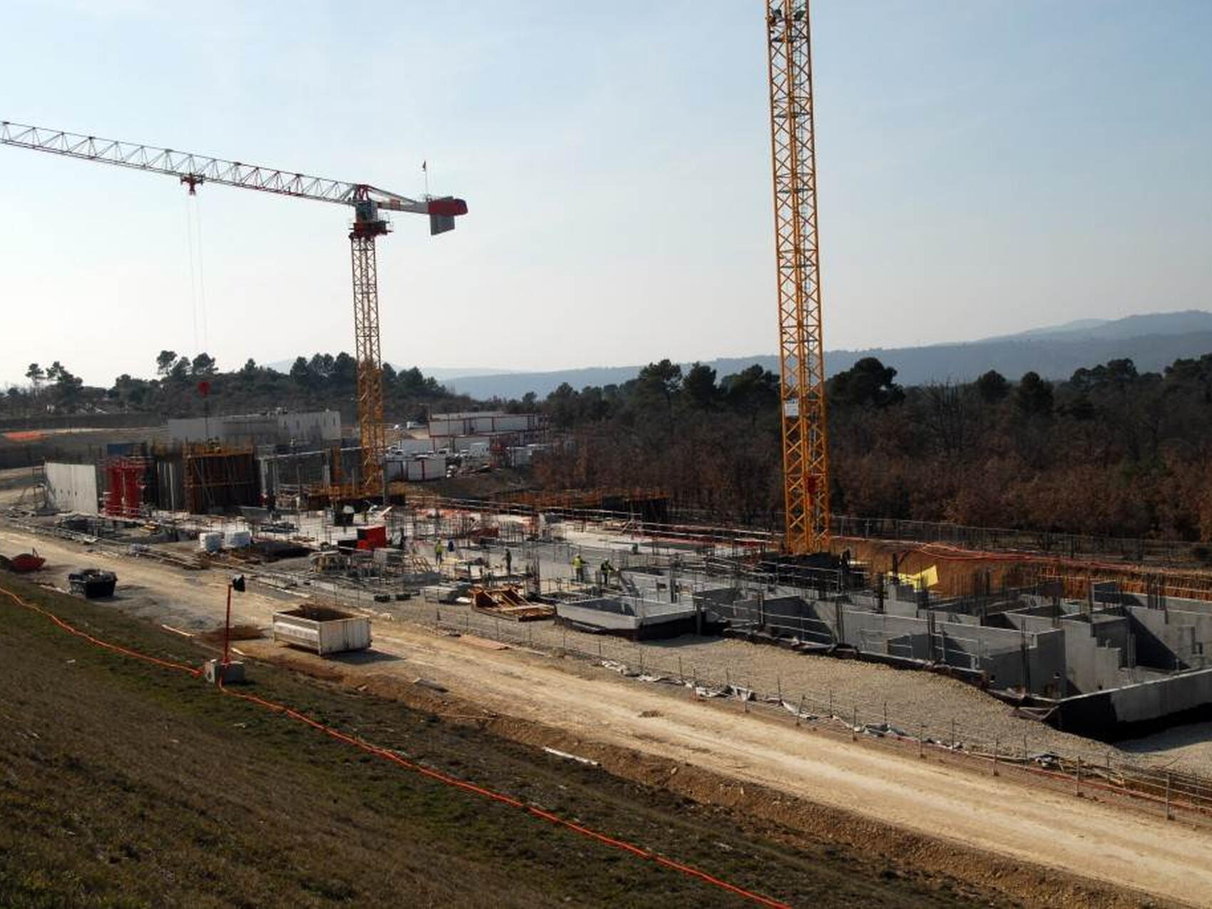 2,5 hectares de terrain arboré