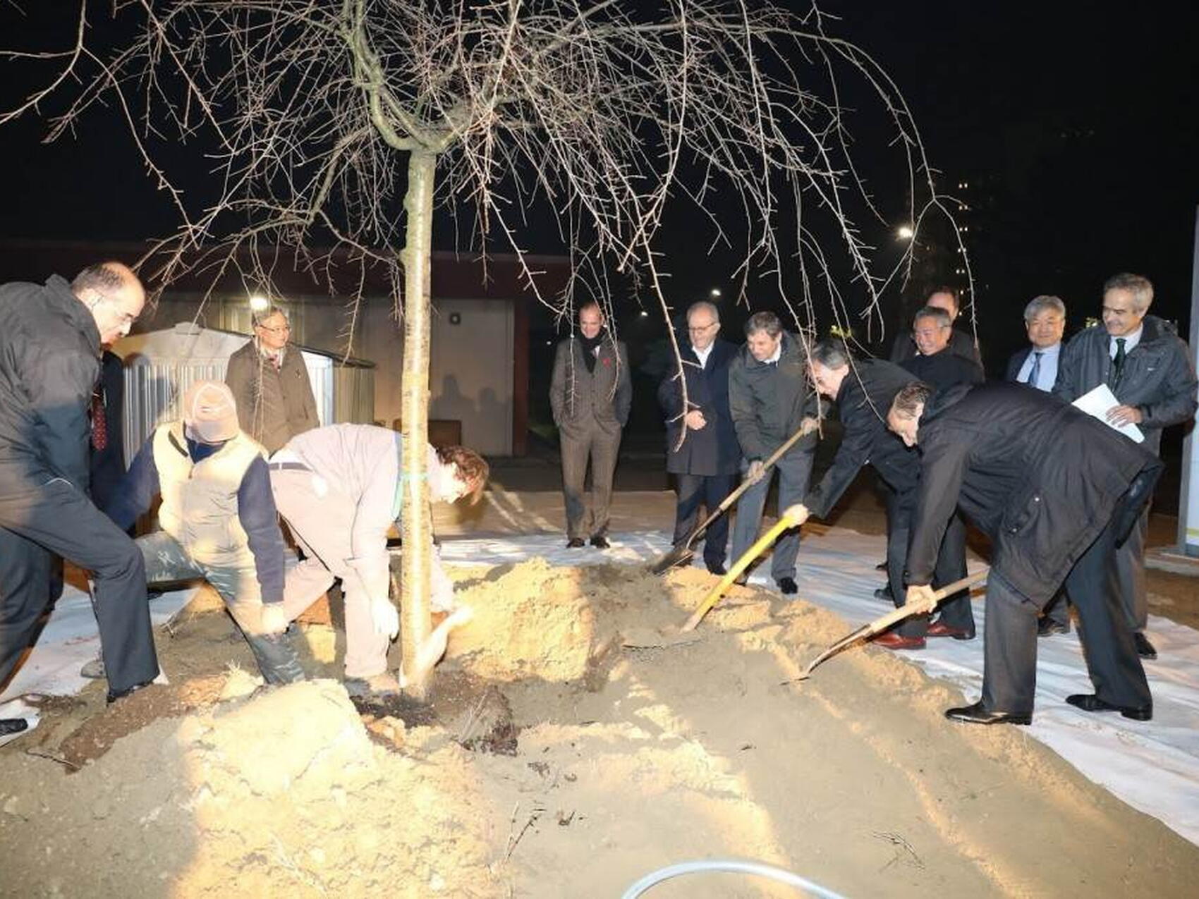 Blossoms for the start of the facility