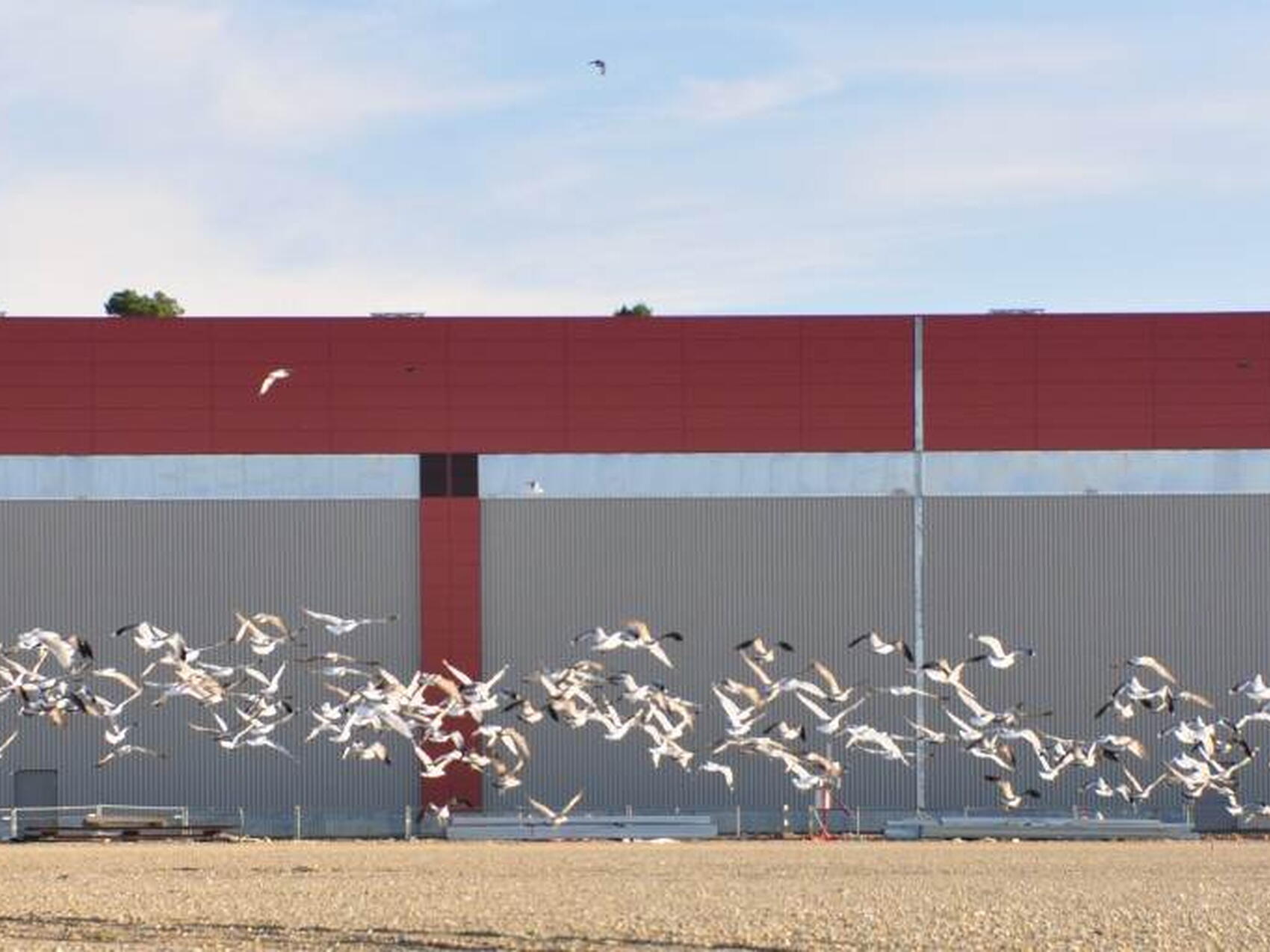 De l'autre côté de la plateforme