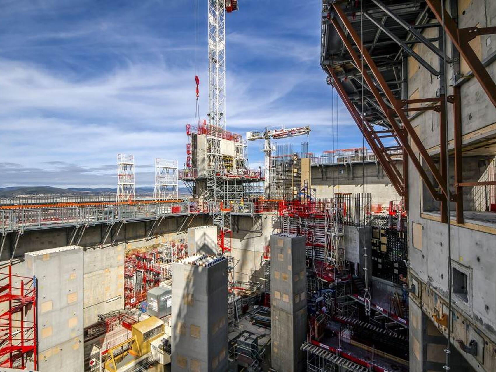 A forest of steel and concrete