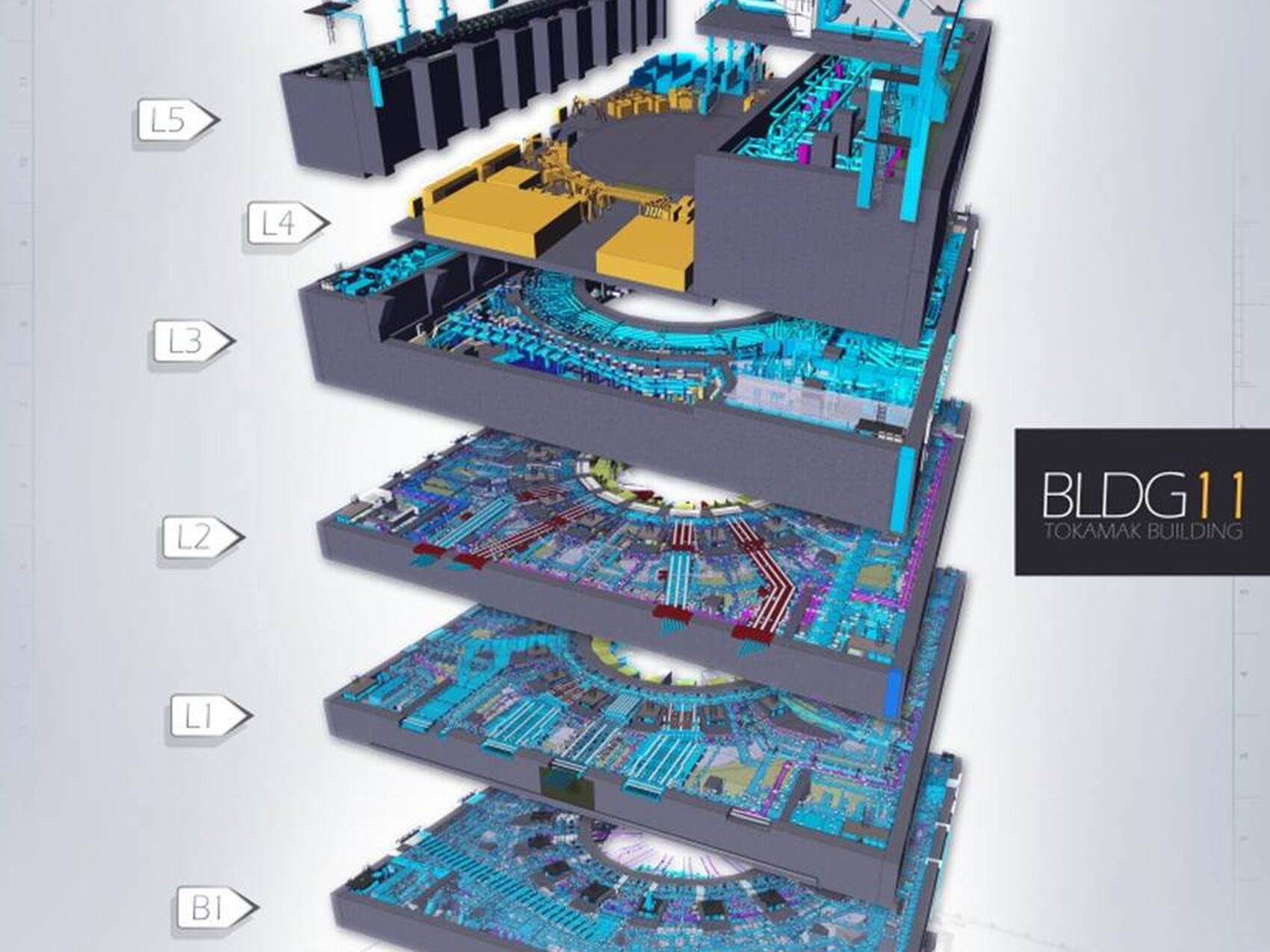 A home for the Tokamak