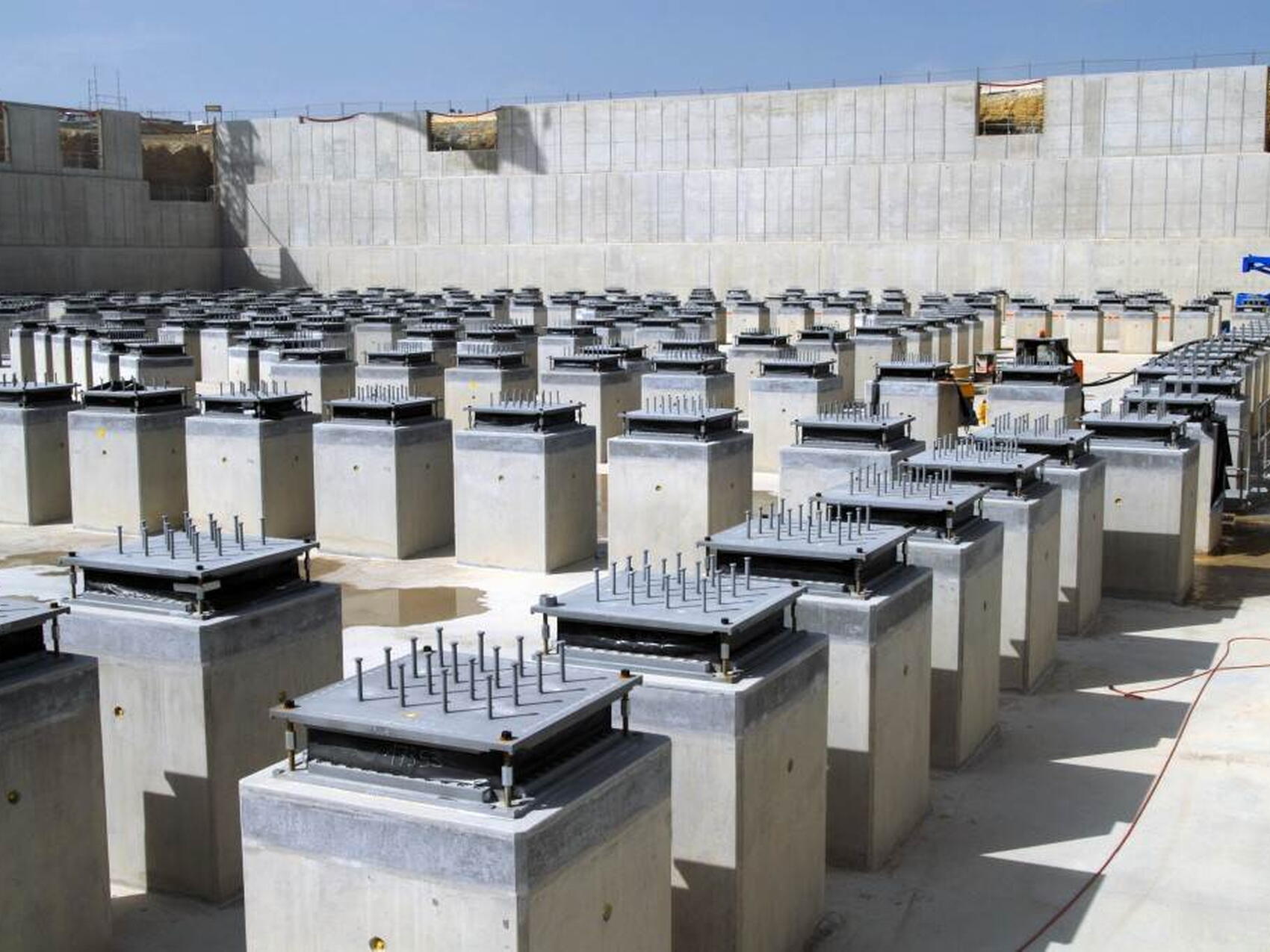 Plus hautes que la plupart d'entre nous