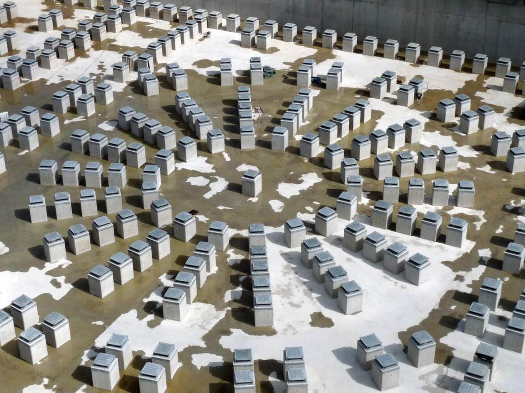 Dans l'attente du Tokamak