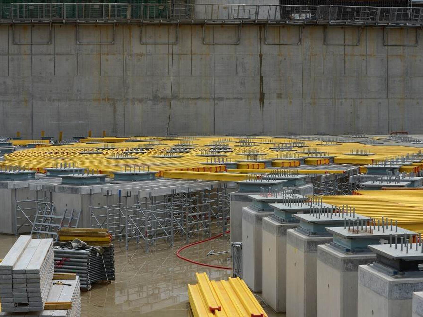 Un printemps plutôt inhabituel en Provence