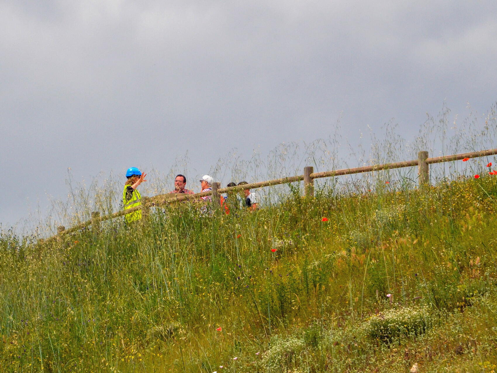 From a point above the site